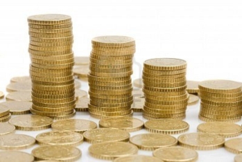 1 milyonluq şirkət nizamnamə kapitalını azaldır