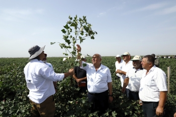 "Prime Cotton" pambıqçılar üçün ənənəvi “Açıq Tarla Günü”nü keçirdi -[red] FOTOLAR[/red] | FED.az