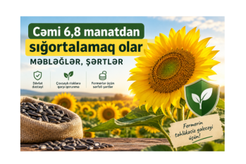 1000 manatlıq günəbaxan 6,8 manata sığortalanır – MƏBLƏĞLƏR, ŞƏRTLƏR