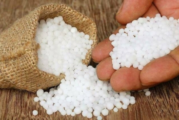 Azərbaycan karbamid ixracından əvvəlki kimi qazana bilmir – GƏLİRLƏRDƏ 14 MİLYONLUQ AZALMA