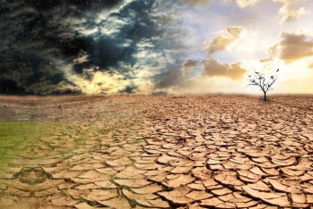 Azərbaycanda ilk dəfə: Əkin sahələrinin quraqlııqdan sığortasına hazırlıq başlayıb - MÜSAHİBƏ