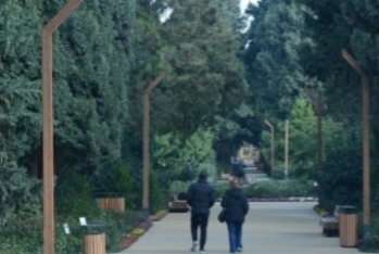 “Mərkəzi Nəbatat və Dendrologiya Bağı” MMC yaradılır - FƏRMAN