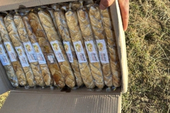 Özbəkistandan gətirilən yemiş və halvada problem tapılıb - MƏHV EDİLİB