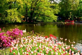 Aprel ayının - HAVA PROQNOZU