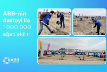 ABB-nin dəstəyi ilə - 1 000 000 AĞAC ƏKİLİR