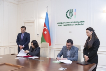 Azad olunmuş ərazilər üzrə torpaqların icarə müqavilələrinin imzalanmasına başlanıb