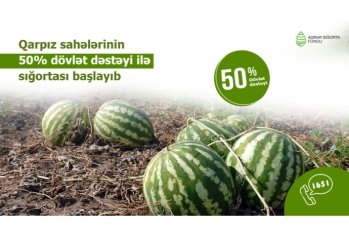 Azərbaycanda qarpız sahələrinin sığortalanması mövsümü başlayıb – ŞƏRTLƏR, MƏBLƏĞLƏR