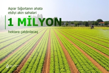 Aqrar sığorta mexanizminin əhatə dairəsi daha da genişləndiriləcək