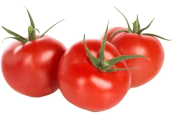 Pomidor ixracı Azərbaycana 192,5 milyon dollar valyuta gətirib