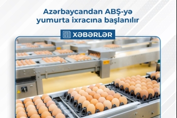 Azərbaycandan ABŞ-yə yumurta ixracına başlanılır