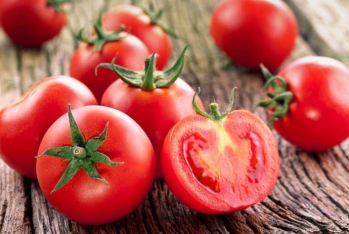 Azərbaycandan Rusiyaya ixrac edilən 50 ton pomidor - Geri Qaytarılıb