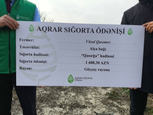 Azərbaycanda meyvə bağlarının aqrar sığortası mövsümü başlayır – ŞƏRTLƏR, MƏBLƏĞLƏR | FED.az