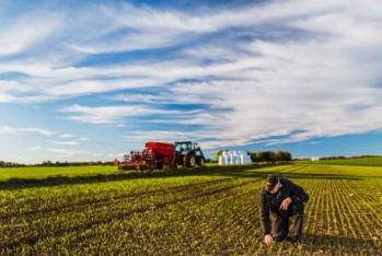 Kənd təsərrüfatı təyinatlı torpaqlarda yalnız bu tikililərin inşasına icazə verilir - FƏRMAN