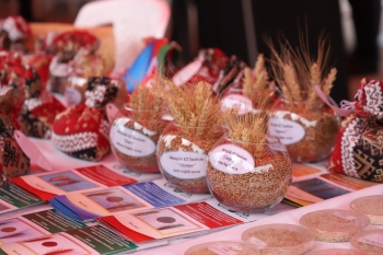 Salyanda Aqrar Biznes Festivalı keçirilib - FOTOLAR | FED.az