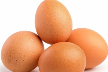 Azərbaycan Birləşmiş Ərəb Əmirliklərinə yumurta ixracını - 2 DƏFƏ ARTIRIB