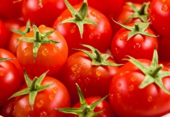 Azərbaycanın 18 ton pomidoru - RUSİYAYA BURAXILMADI