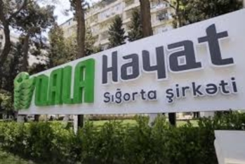 "Qala Həyat"ın maliyyə vəziyyəti məlum oldu - HESABAT