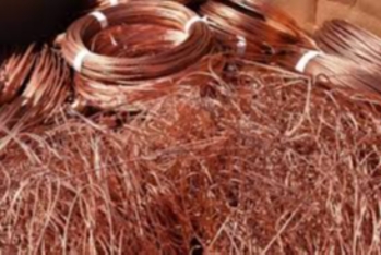 Misin qiyməti yeni tarixi rekord qırdı — Tonu 13 min dolları keçdi