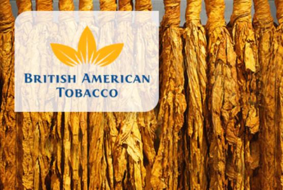 "British American Tobacco" Azərbaycanda nümayəndəliyini açıb