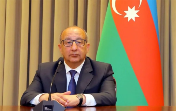Nazirə müavin təyin olundu | FED.az