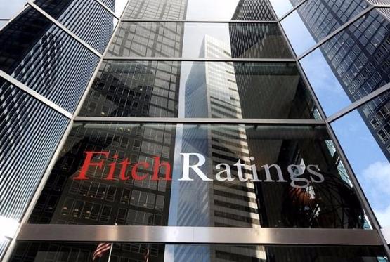 "Fitch" Türkiyədə 18 bankın kredit reytinqini azaldıb