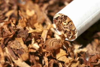 Azərbaycana tütün idxalı - Kəskin Azaldı