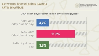 Aktiv ƏDV ödəyicilərinin sayı 11,5 faiz artıb | FED.az