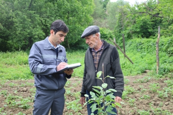 “Daşkəsən və Göygöldə aqrar inkişafa dəstək” layihəsi çərçivəsində monitorinq və icmalarla görüşlər keçirilir | FED.az