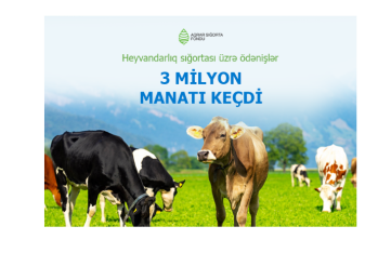 Heyvandarlıq sığortası üzrə ödənişlər - 3,2 MİLYON MANATI KEÇDİ