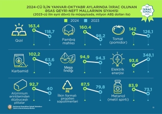 Azərbaycanın qeyri-neft-qaz ixracı artıb - İxrac İcmalının noyabr sayı açıqlandı | FED.az