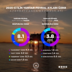 İlk 2 ay üzrə neft-qaz göstəriciləri - AÇIQLANDI | FED.az