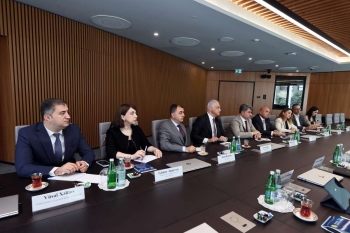 Türk iş adamları gömrükdə qarşılaşdıqları - MƏSƏLƏLƏRİ AÇIQLADILAR | FED.az