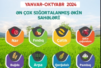 Meyvə bağları və əkin sahələri üzrə - AQRAR SIĞORTA ÖDƏNIŞLƏRİ 4 DƏFƏ ARTIB | FED.az