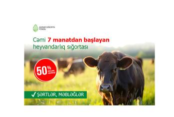 Cəmi 7 manatdan başlayan heyvandarlıq sığortası – ŞƏRTLƏR, MƏBLƏĞLƏR