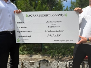 Cəmi 56 manata sığortaladığı əkin sahəsinə görə - [red]5600 manat ödəniş aldı[/red] | FED.az