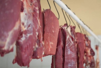 Birləşmiş Ərəb Əmirliklərindən ət idxalı 3 dəfə artıb - KİLOQRAMI 20 MANATA ÇATIB