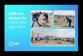 При поддержке Банка ABB будет высажено 1 000 000 деревьев