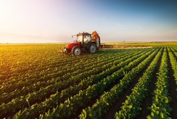 Kənd təsərrüfatı üzrə son vəziyyət açıqlandı - SON RƏQƏMLƏR