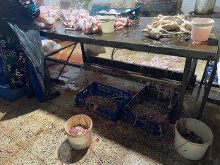 Xırdalanda 2 min toyuğun qanunsuz kəsildiyi sex bağlandı - FOTOLAR | FED.az