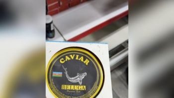 Çin və Rusiyadan idxal edilmiş kürülərin “Azerbaijan Caviar” adı ilə satılırmış  - FOTOLAR | FED.az