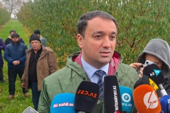 Azərbaycanda meyvə bağı üzrə 700 min manatdan çox sığorta ödənişi verilib