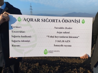 Ağsu və İsmayıllı rayonlarında fermerlərə 30 min manata yaxın aqrar sığorta ödənişləri verilib - FOTOLAR | FED.az