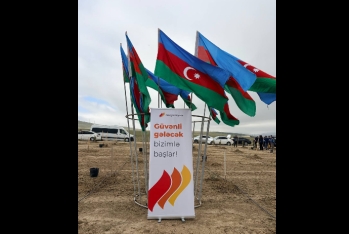 “Atəşgah” Sığortadan ağacəkmə aksiyasına - DƏSTƏK