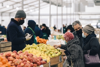 Bakı və Abşeronda “Kənddən Şəhərə” yarmarkaları - Təşkil Olunacaq | FED.az