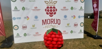 Göygöldə Moruq festivalı keçirilir | FED.az