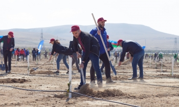 Kapital Bank əməkdaşları ağacəkmə aksiyasında -[red] İŞTİRAK ETDİ[/red] | FED.az