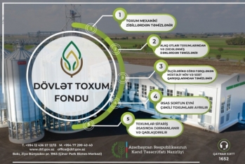 Dövlət Toxum Fondu hüquqi və fiziki şəxslərə - Müraciət Edib