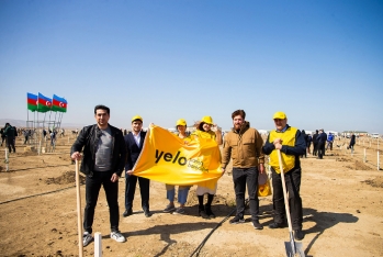 Yelo Bank принял участие в акции по посадке деревьев