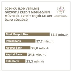 Ötən il sahibkarlara 248,1 milyon manat güzəştli kredit verilıb - ƏN ÇOX KREDİT VERƏN BANKLAR - SİYAHI | FED.az