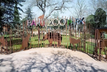 "Bakı Zooparkı" 240 min manatlıq meyvə-tərəvəz - ALACAQ